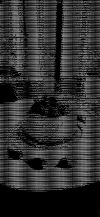 ASCII iOS Camera output. A close subject in the braille dot-matrix style, which samples two by four per output cell.