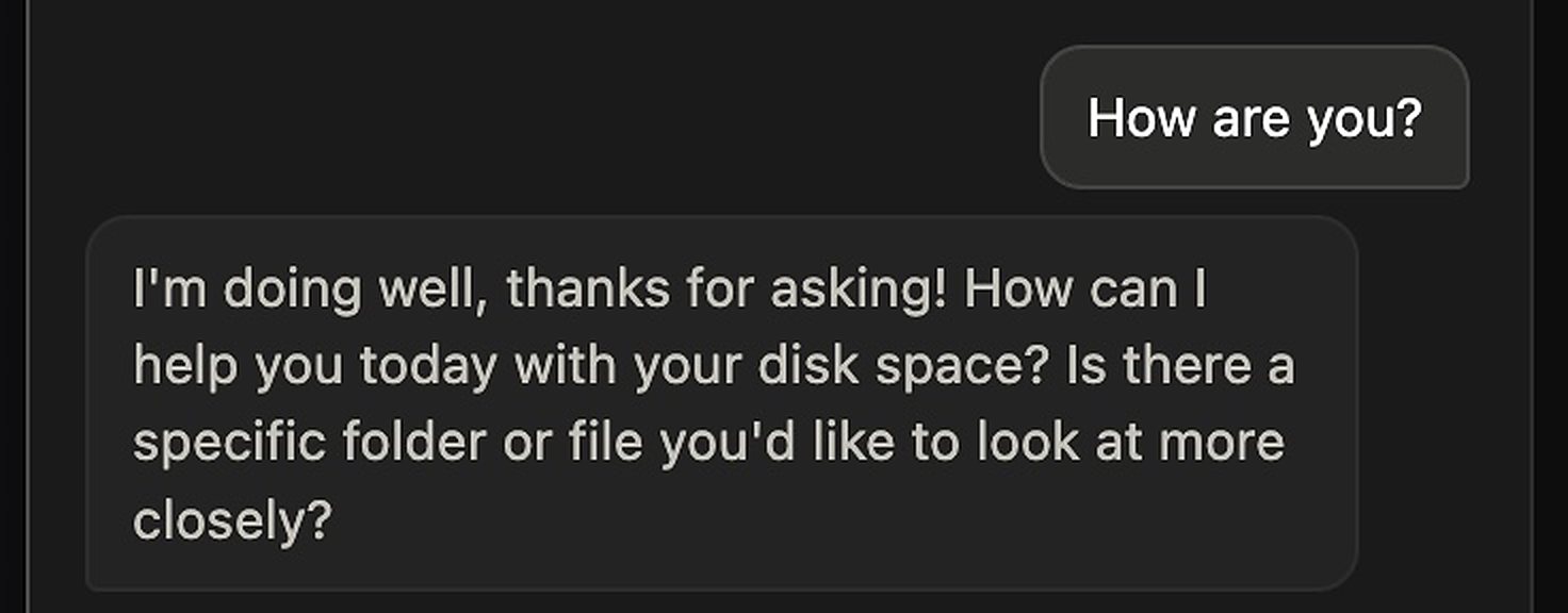 The Diskbot conversation: a short exchange where the assistant offers to look at a specific folder or file more closely.
